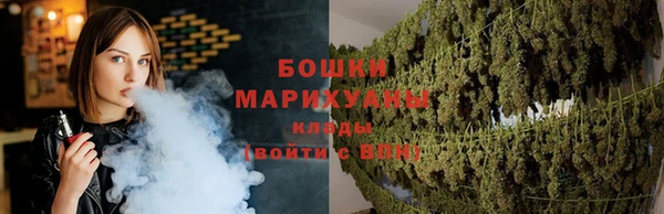 амф Аркадак
