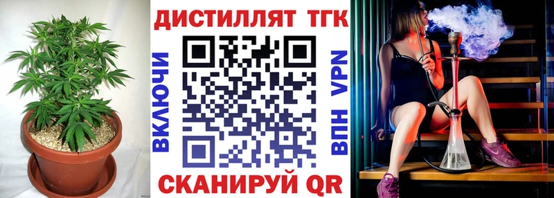 где купить наркоту  Николаевск  kraken как зайти  ТГК концентрат 