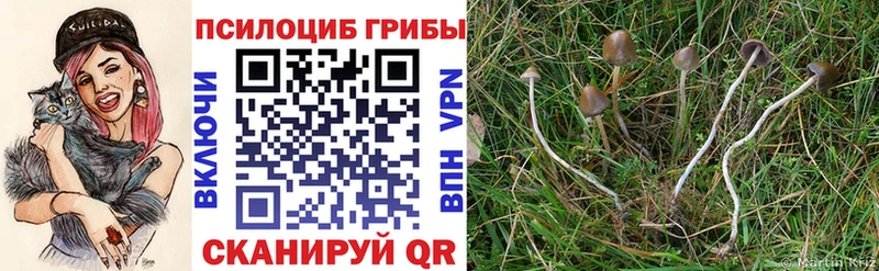 MEGA ссылки  Николаевск  Галлюциногенные грибы прущие грибы 