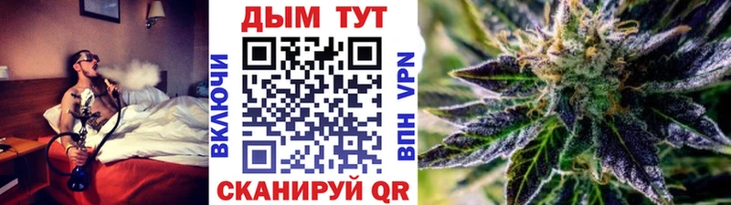 где можно купить наркотик  Николаевск  kraken онион  Шишки марихуана ГИДРОПОН 